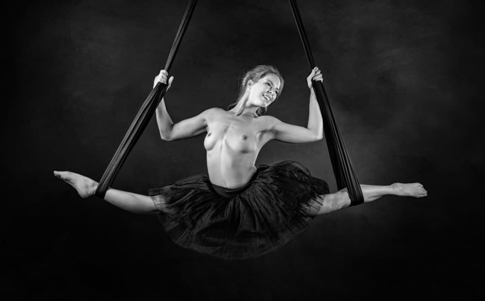 Graceful Aerial Split by Luc Stalmans — canvas wall art