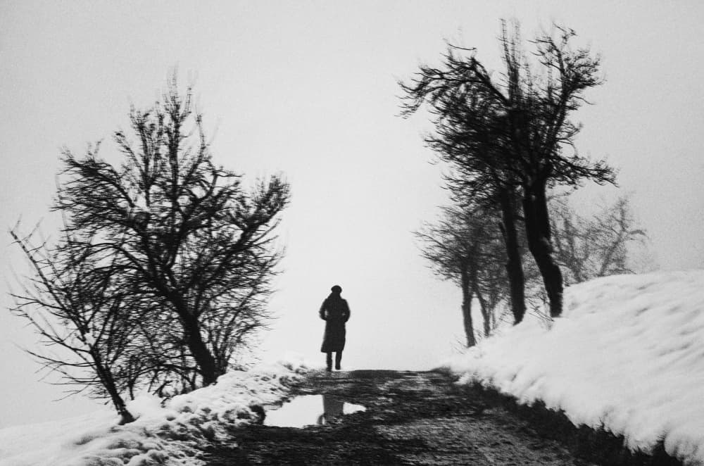 Solitary Winter Journey by Samanta Krivec — canvas wall art