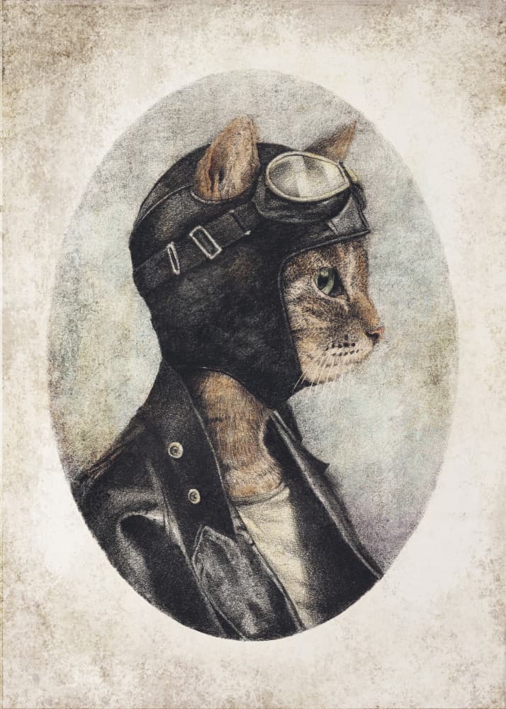 Stylish Cat Wearing A Leather Jacket by Mike Koubou — canvas wall art
