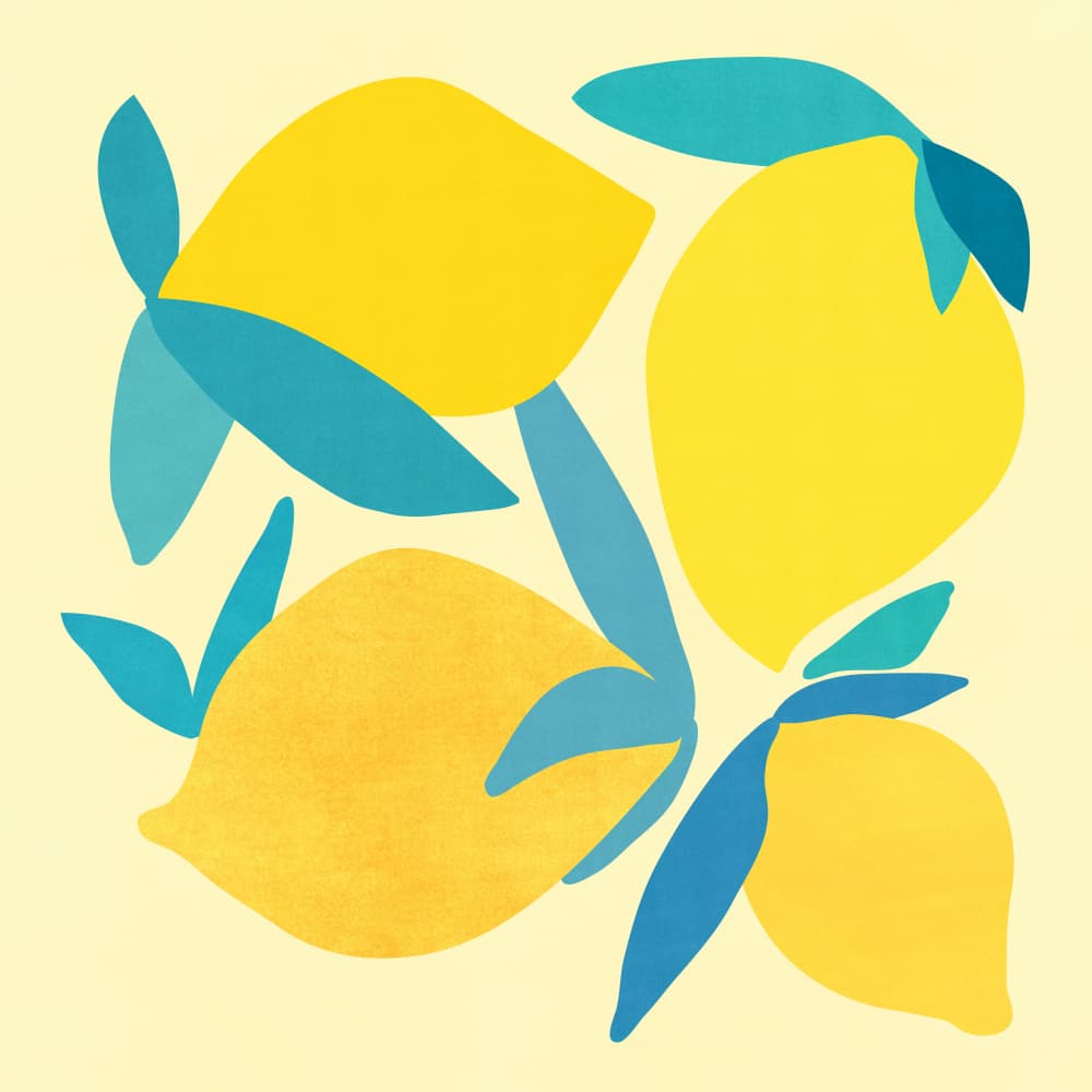 Lemon Shapes 2 by Kristian Gallagher — canvas wall art