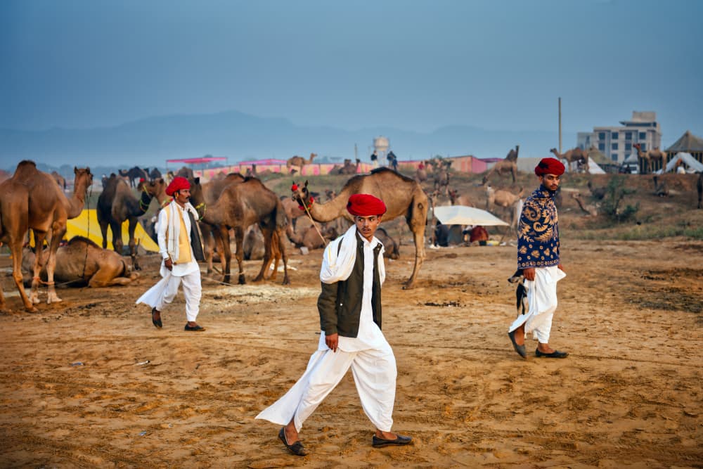 Rajasthan Camel Fair by Vivek Kalla — canvas wall art