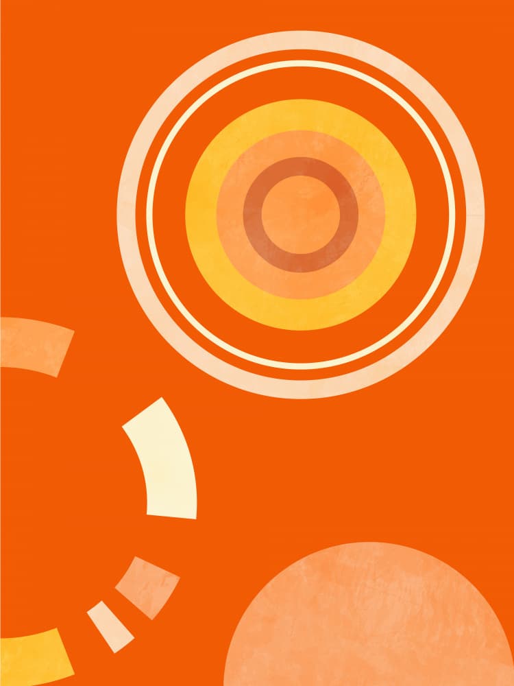 Spring Mid Rhapsody Orange 4 by Ana Rut Bre — canvas wall art
