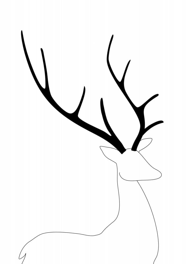 Elegant Stag Antlers by Rosana Laiz Blursbyai — canvas wall art