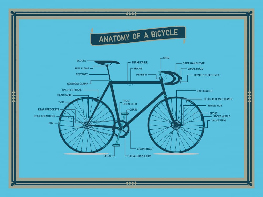 Bicycle Anatomy Diagram by WallChart Art Studio — canvas wall art