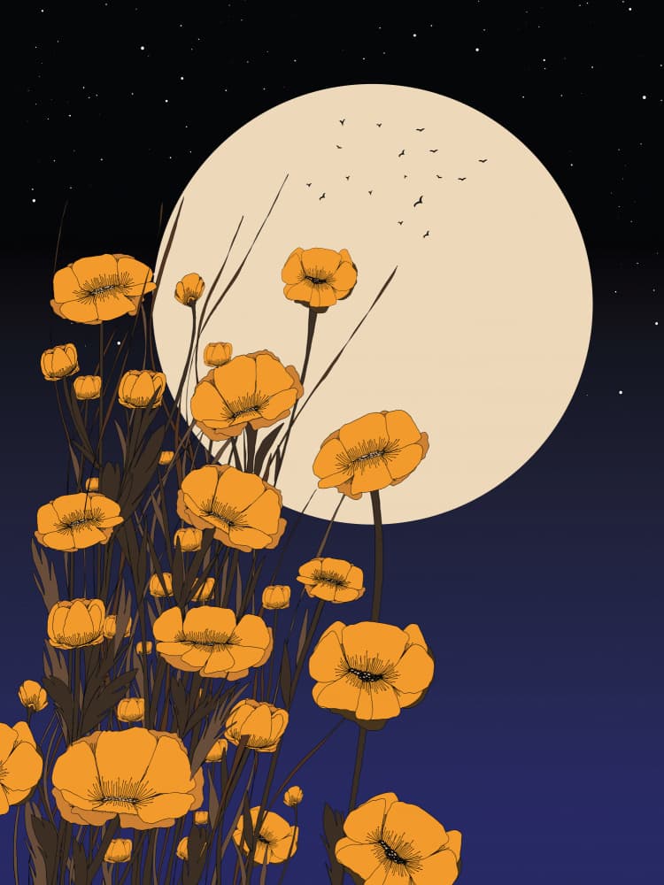 Yellow Flowers Under Moon by Nicholas — canvas wall art