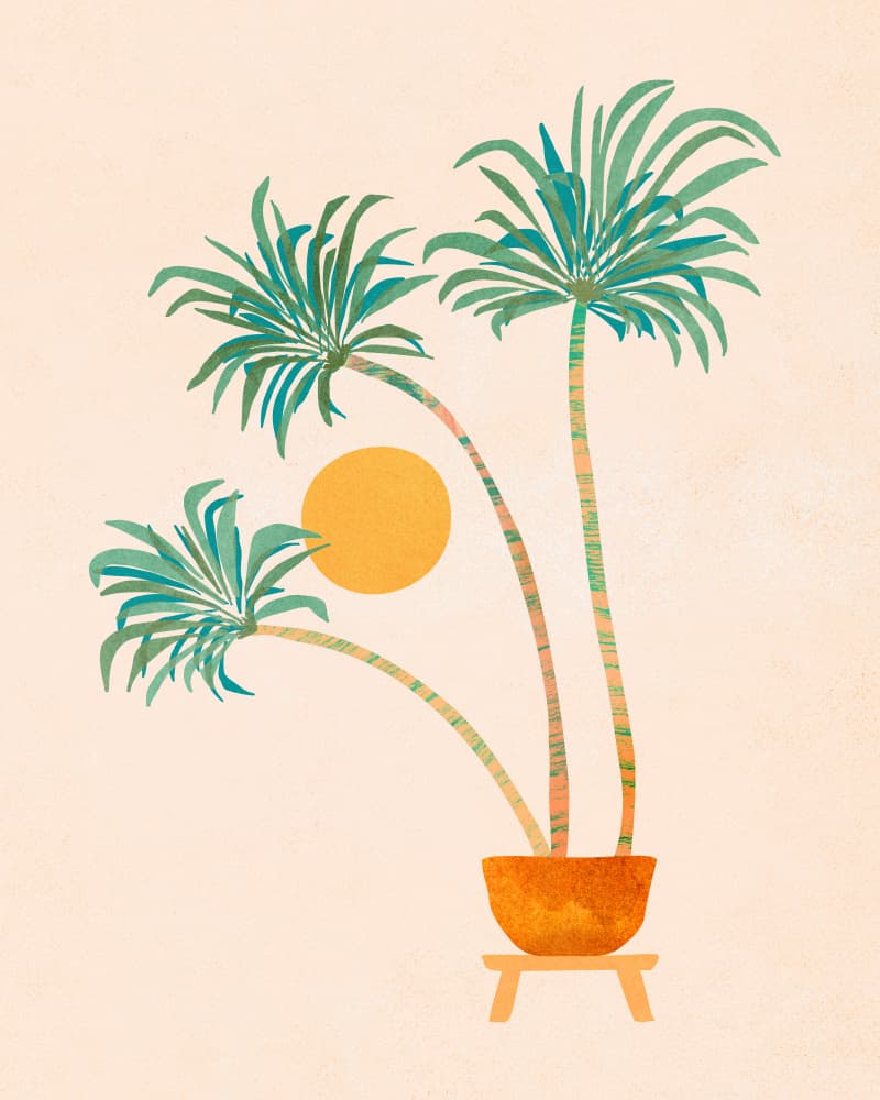 Socal Palms 1 by Kristian Gallagher — canvas wall art
