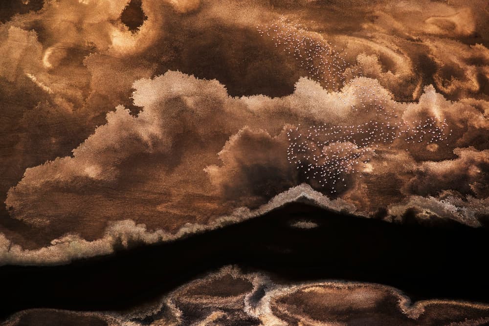 A painting by Phillip Chang — canvas wall art