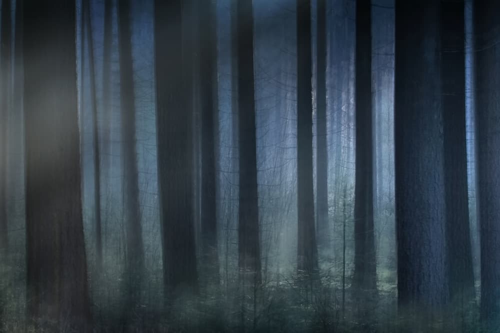 Blue light by Nel Talen — canvas wall art