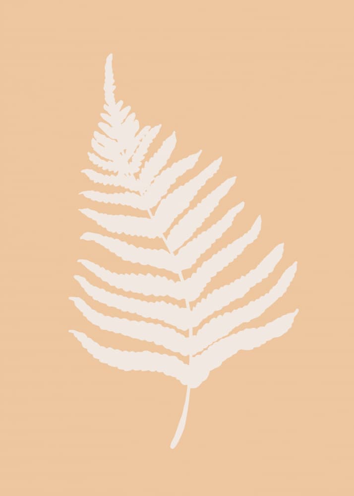 Minimalist Fern Leaf by Pictufy Studio — canvas wall art