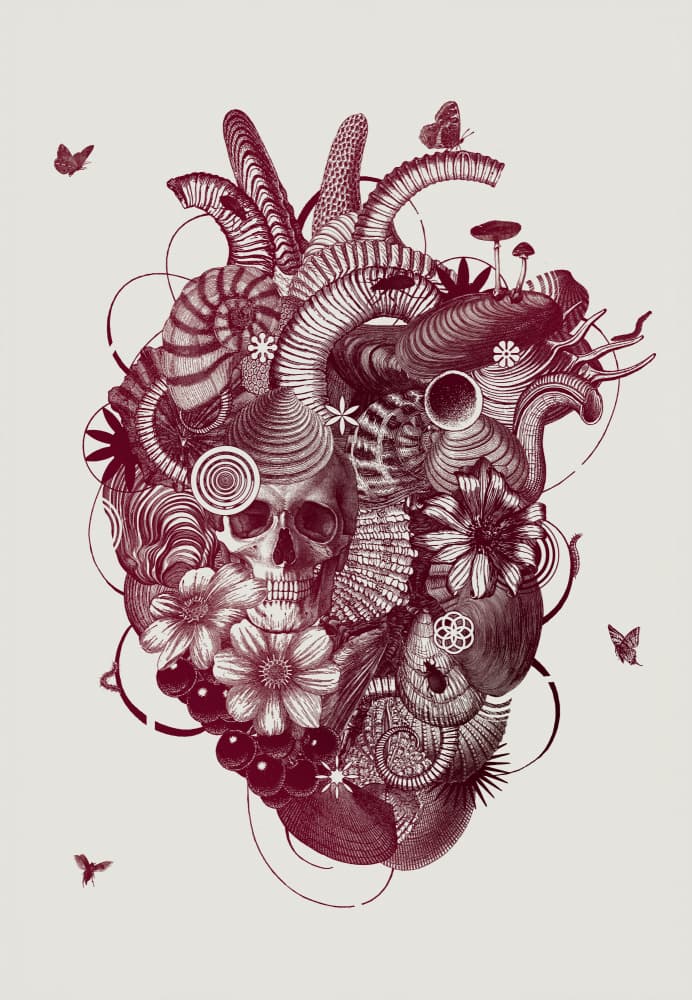 Intricate Heart Skull by Jaco Putker — canvas wall art