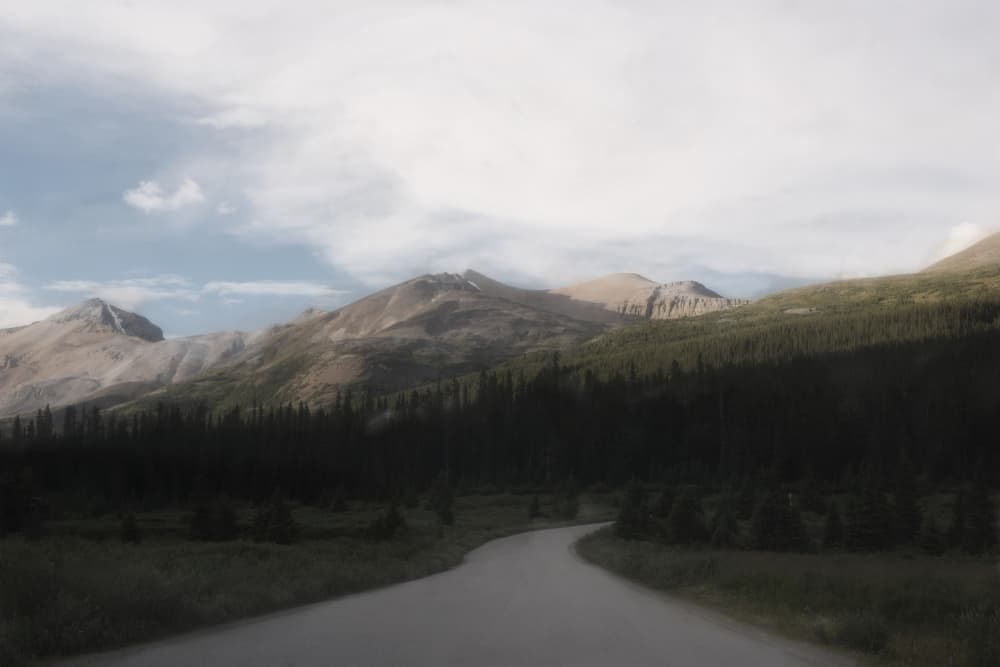Winding Mountain Road by Lynann Colligan — canvas wall art