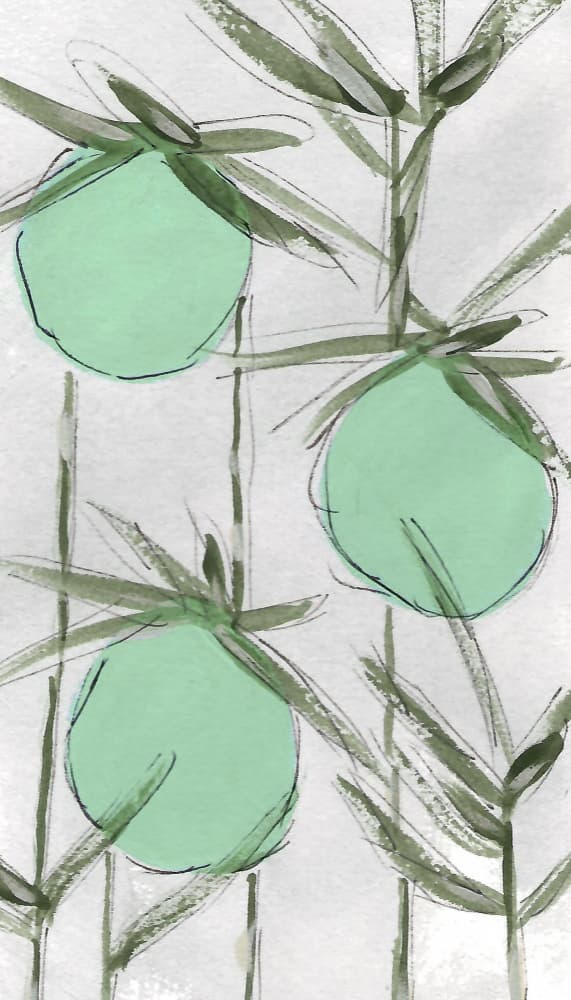 Abstract Green Botanicals by Lori Ann Folz — canvas wall art