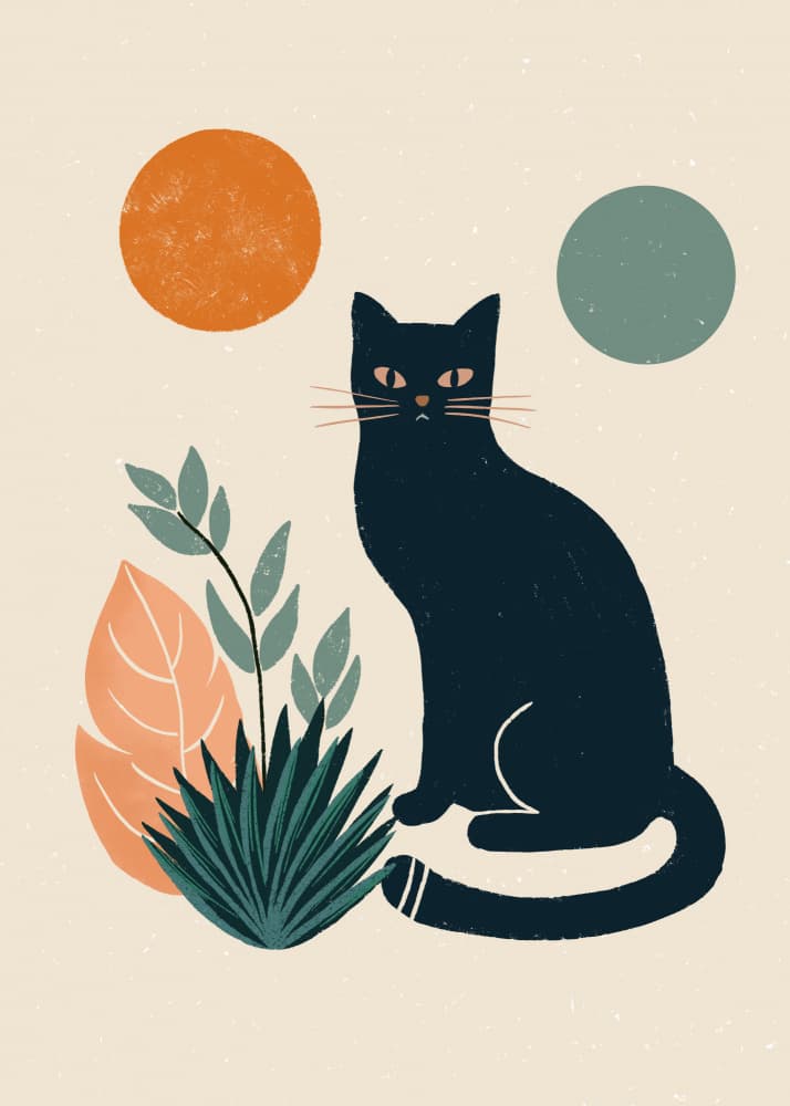 Black Cat Boho Botanicals by Katarzyna Gąsiorowska — canvas wall art