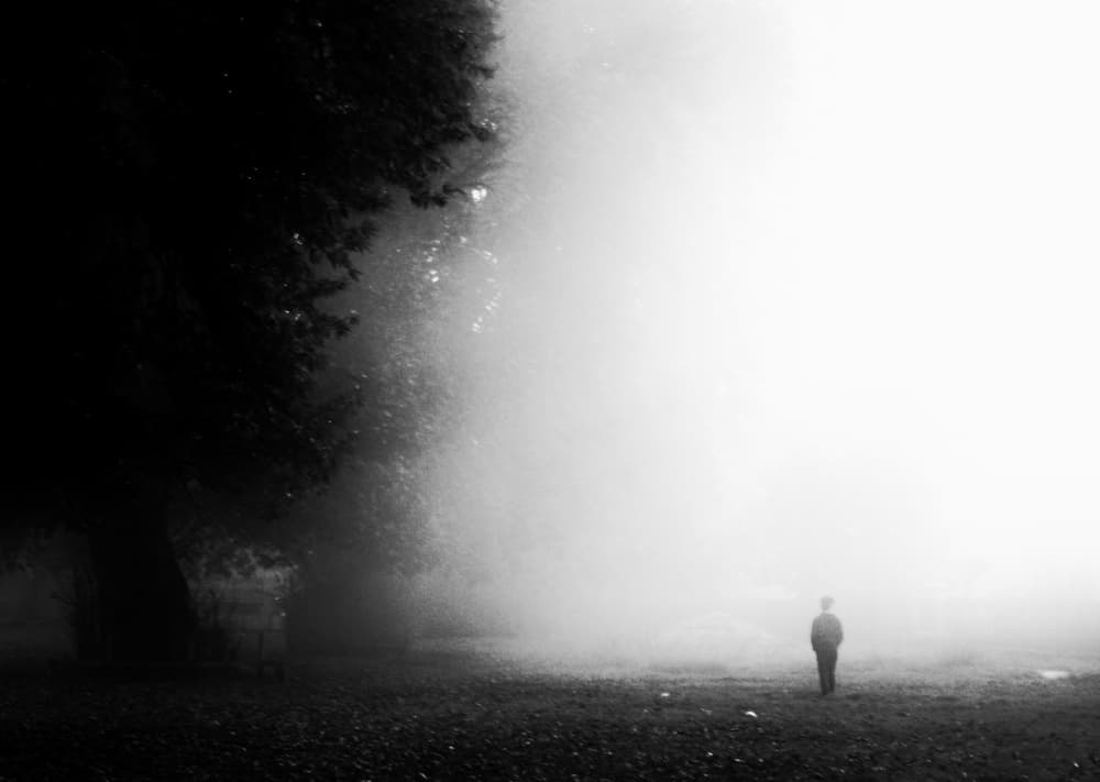 Lost by Hammad — canvas wall art