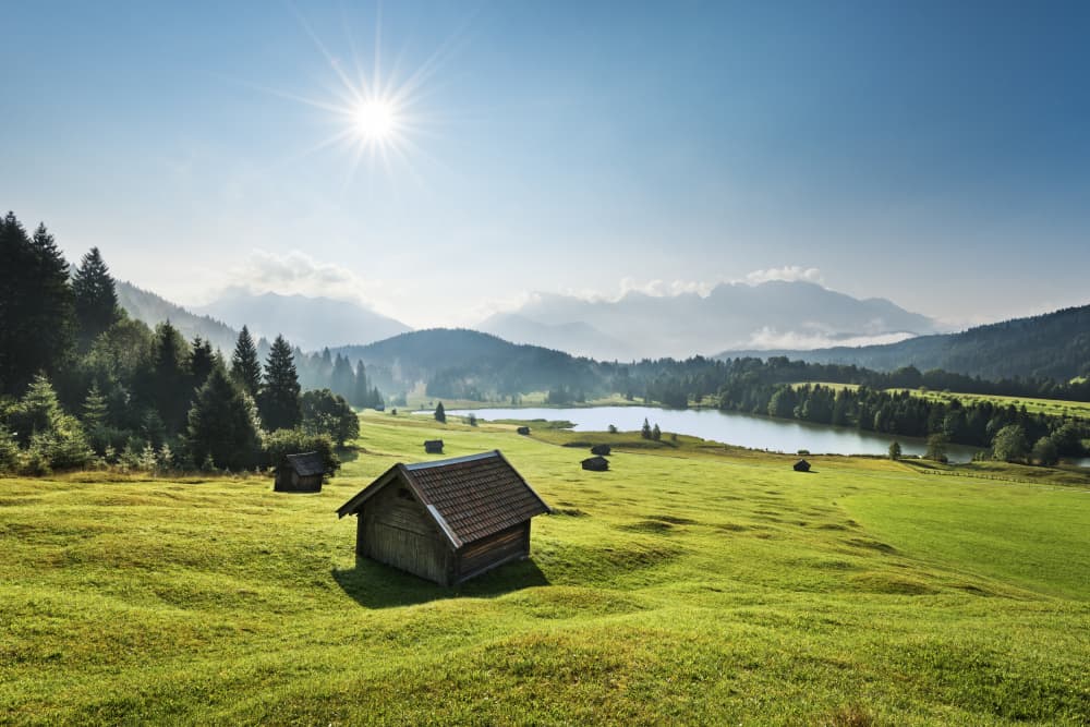 Summer Meadow by Stefan Hefele — canvas wall art