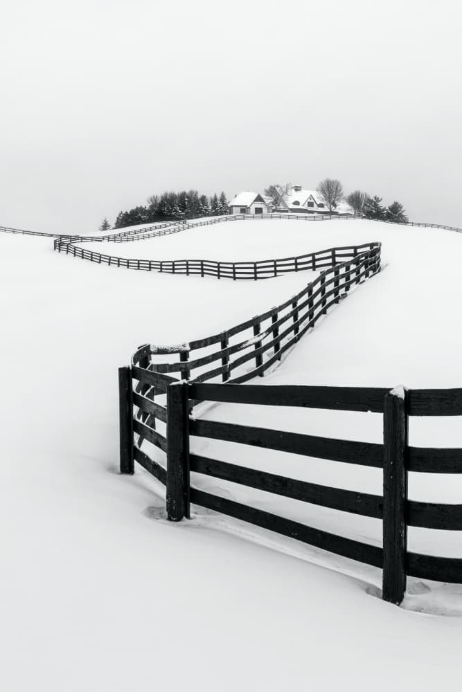 Winding Winter Fence by Steven Zhou — canvas wall art