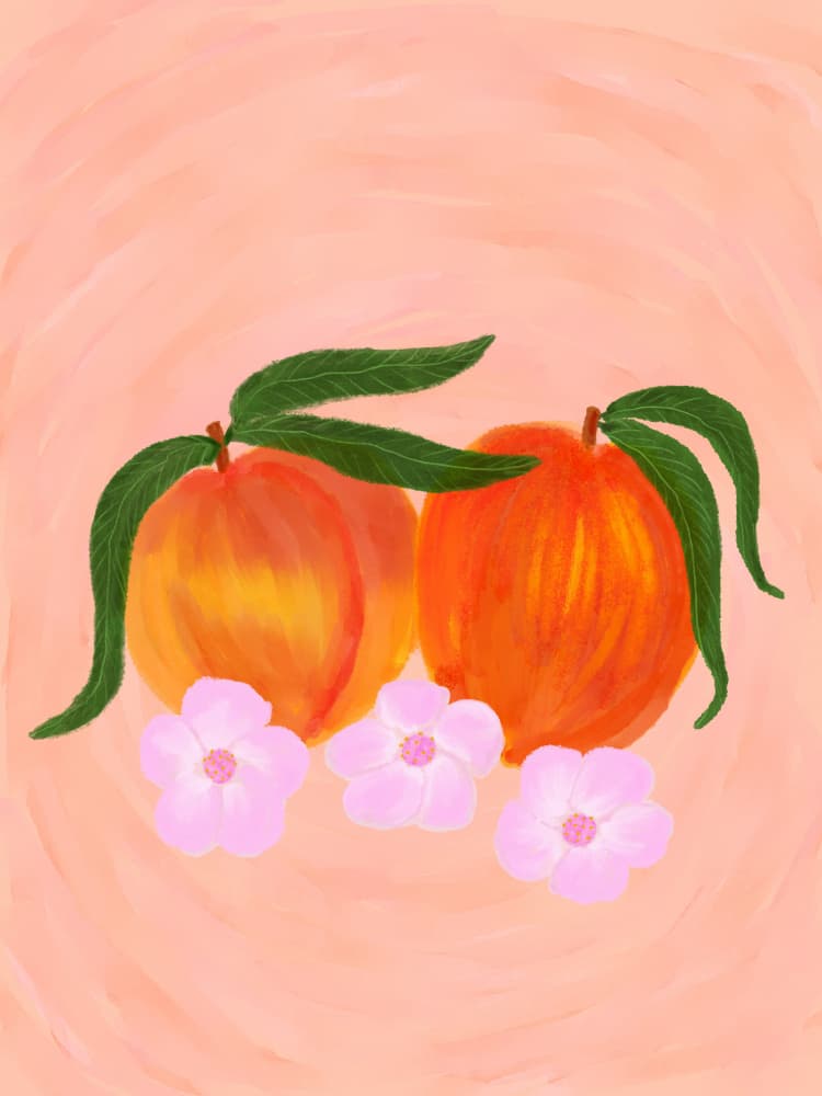 Fresh Peaches and Blossoms by Aliya Putrus — canvas wall art
