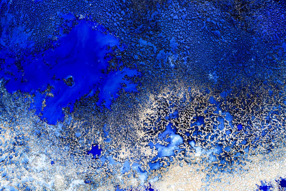 Ocean Best Sellers - Sunlit Reef by Petra Meikle de Vlas — canvas wall art