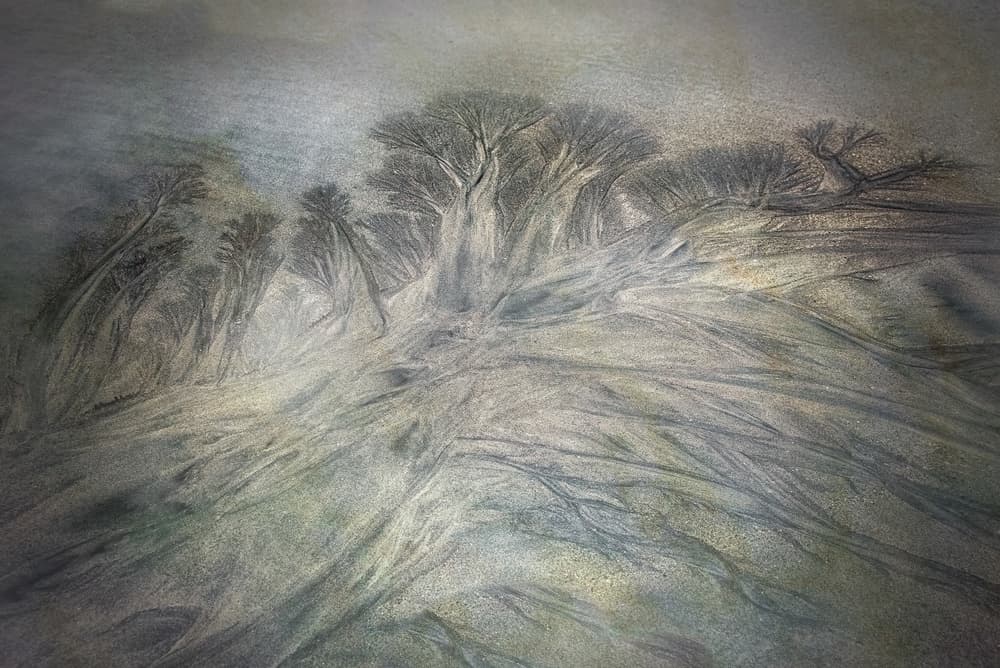 Forest of Sand by Piet Haaksma — canvas wall art