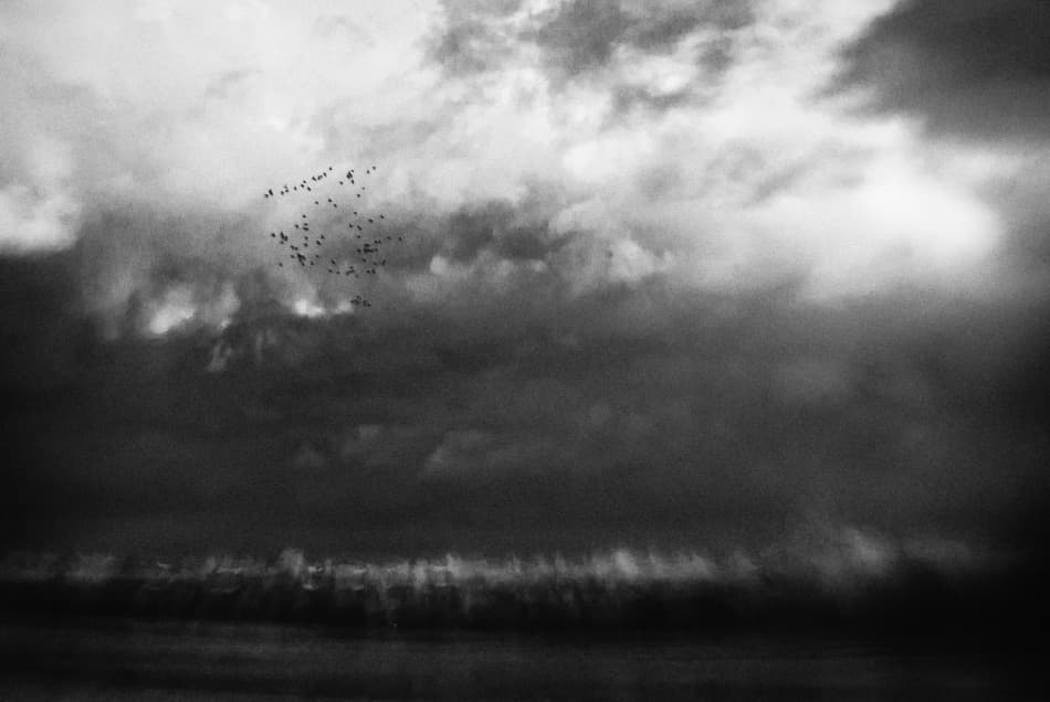 Flock Through Dark Clouds by Codrin Lupei — canvas wall art