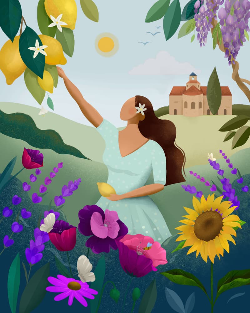 Summer in Provence by Petra Lizde — canvas wall art