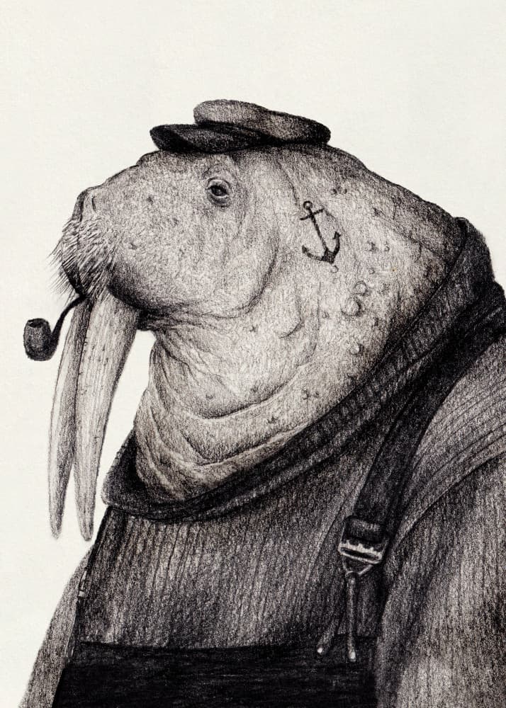 Sea Captain's Wisdom