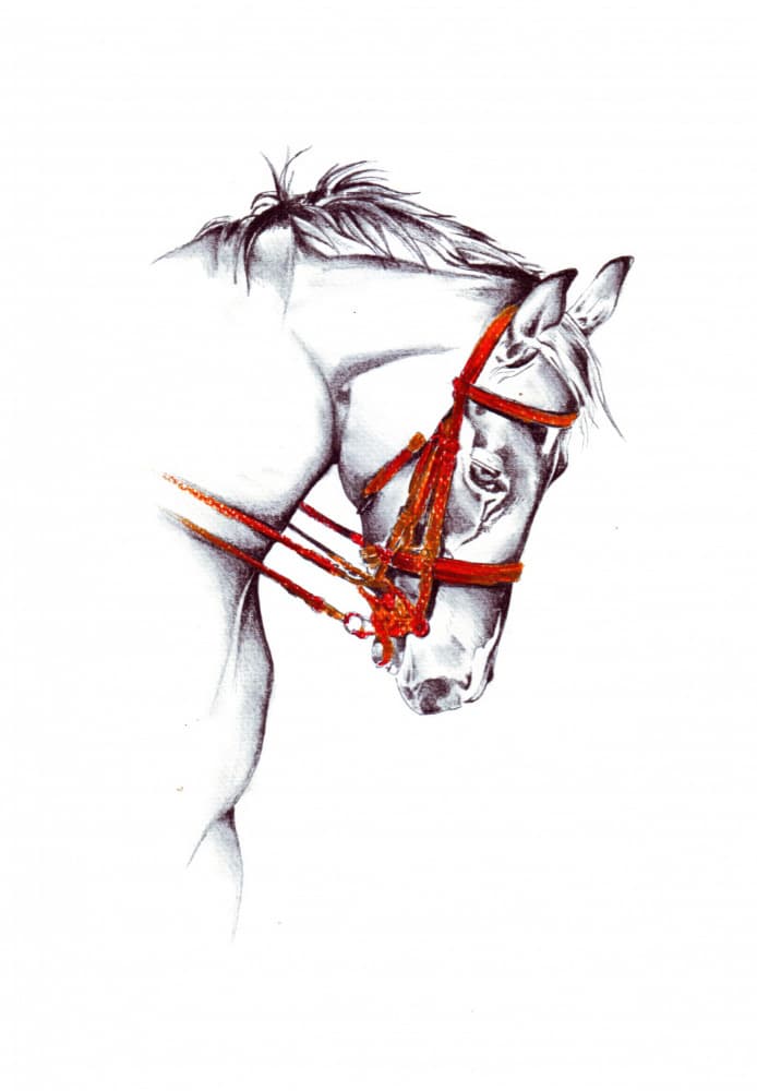 Red Bridle Horse Sketch by Kulik — canvas wall art
