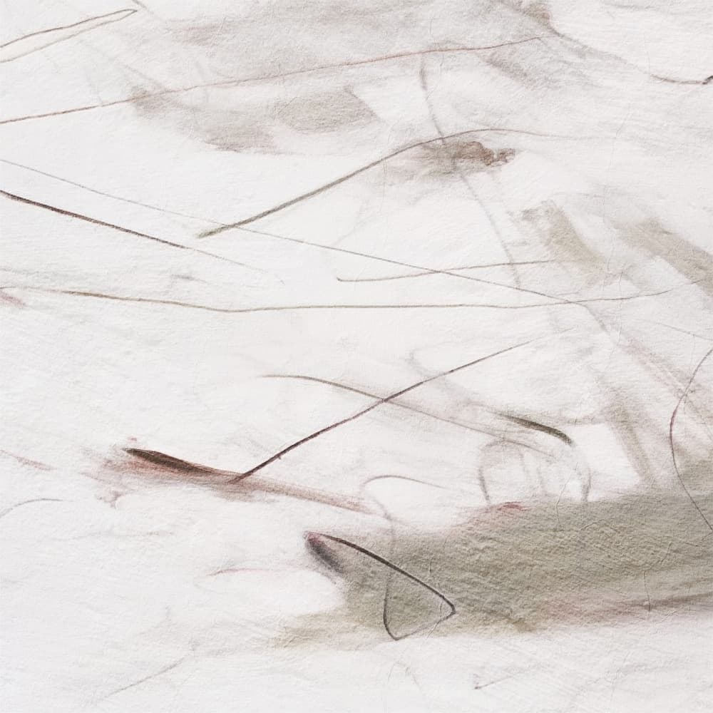 Subtle Flowing Lines by Alma — canvas wall art