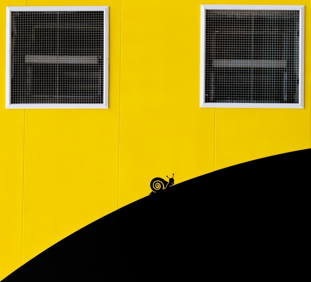 Snail on Yellow Hill by Paco Palazon — canvas wall art