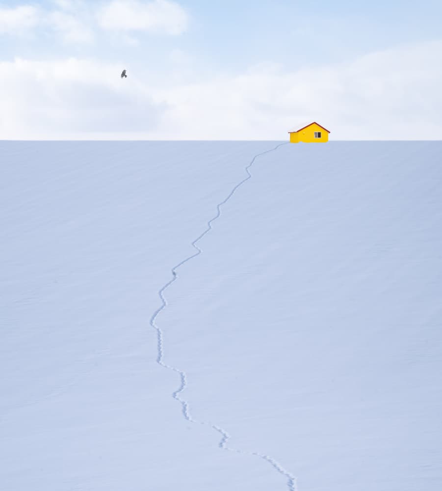 Yellow House Snowy Path by Dawn X W — canvas wall art
