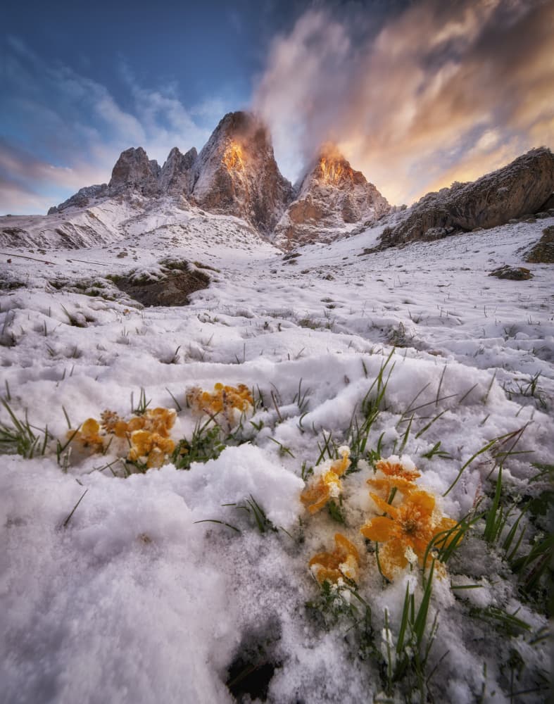 Winter Mountains Golden Bloom by Ivan A. Godovikov — canvas wall art