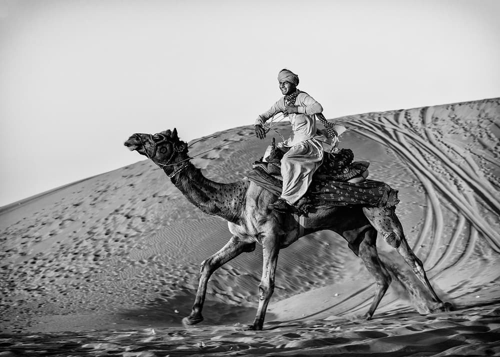 Camel Rider In Motion by Susan Moss — canvas wall art