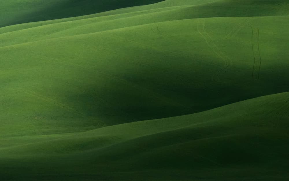 Rolling Green Hills by Claudio Moretti — canvas wall art