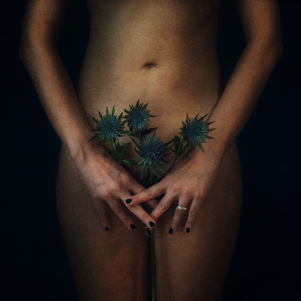 Feminine Thistle Form by Laura Benvenuti — canvas wall art