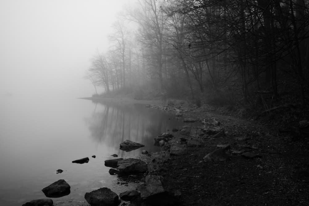 Misty Forest Lake by Binbin L. — canvas wall art