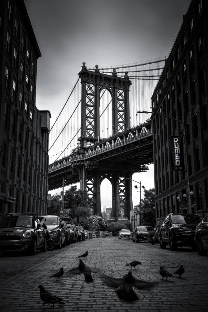 DUMBO Pigeons Manhattan Bridge by Catherine Wang — canvas wall art