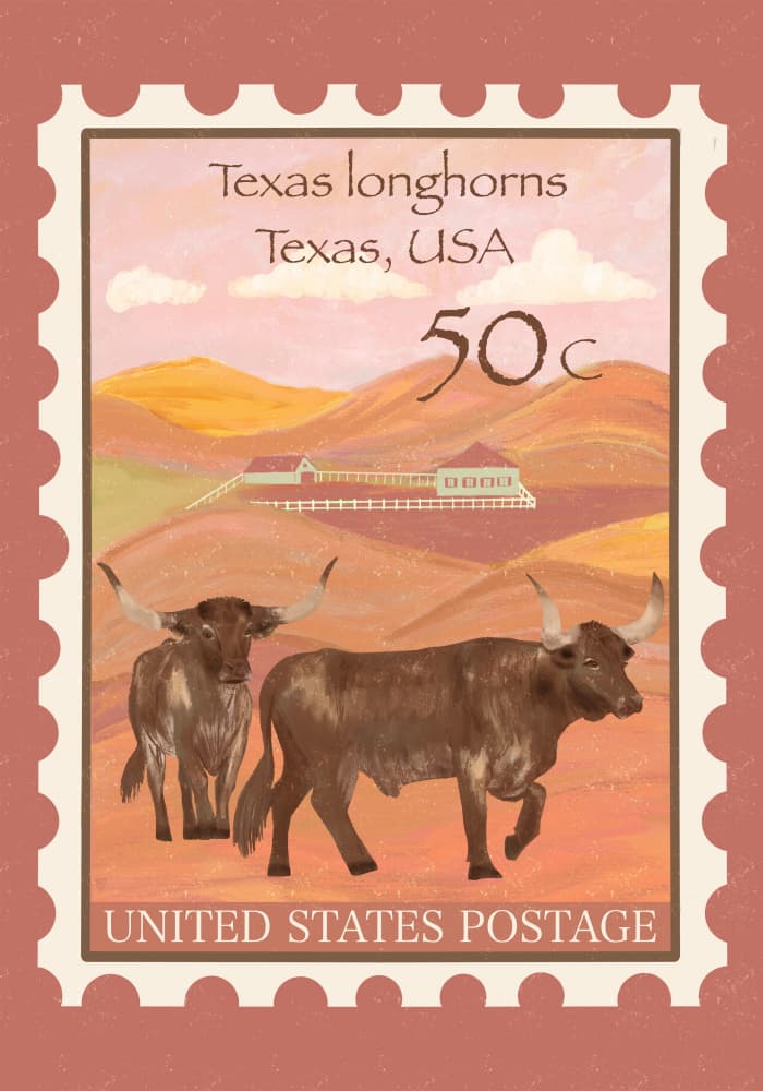 Texas Desert Longhorns