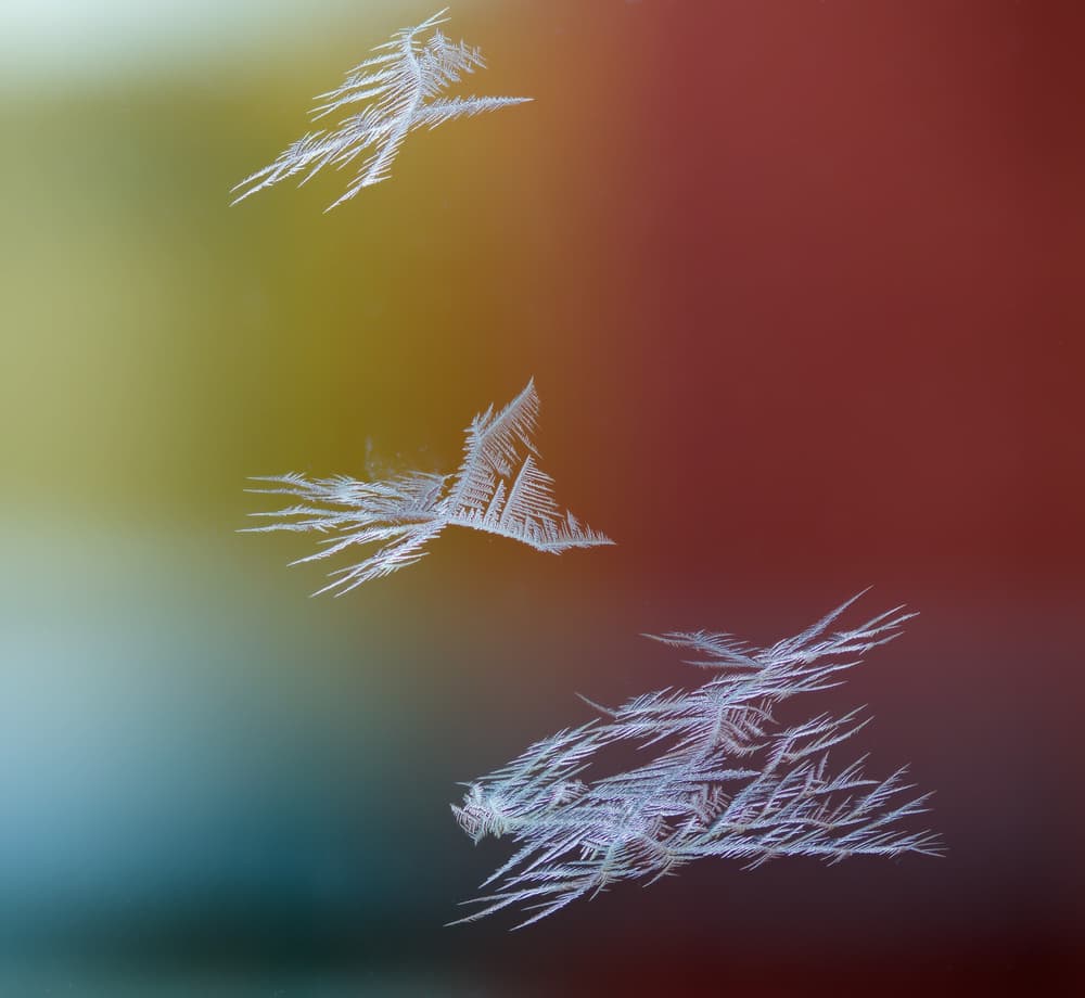 Colorful Frost Patterns by Par Soderman — canvas wall art