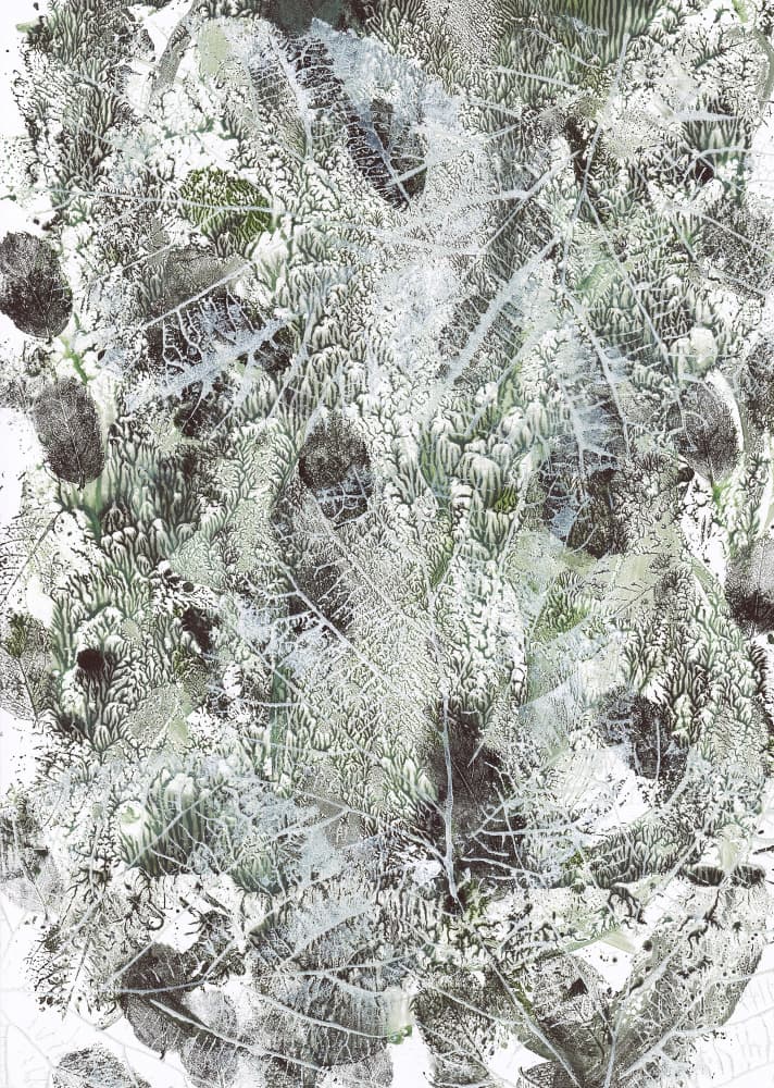 Organic Leaf Imprints