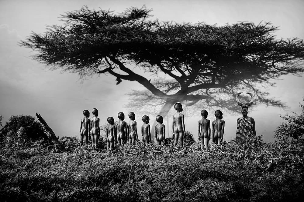 African Tribal Gathering Tree by Svetlin Yosifov — canvas wall art