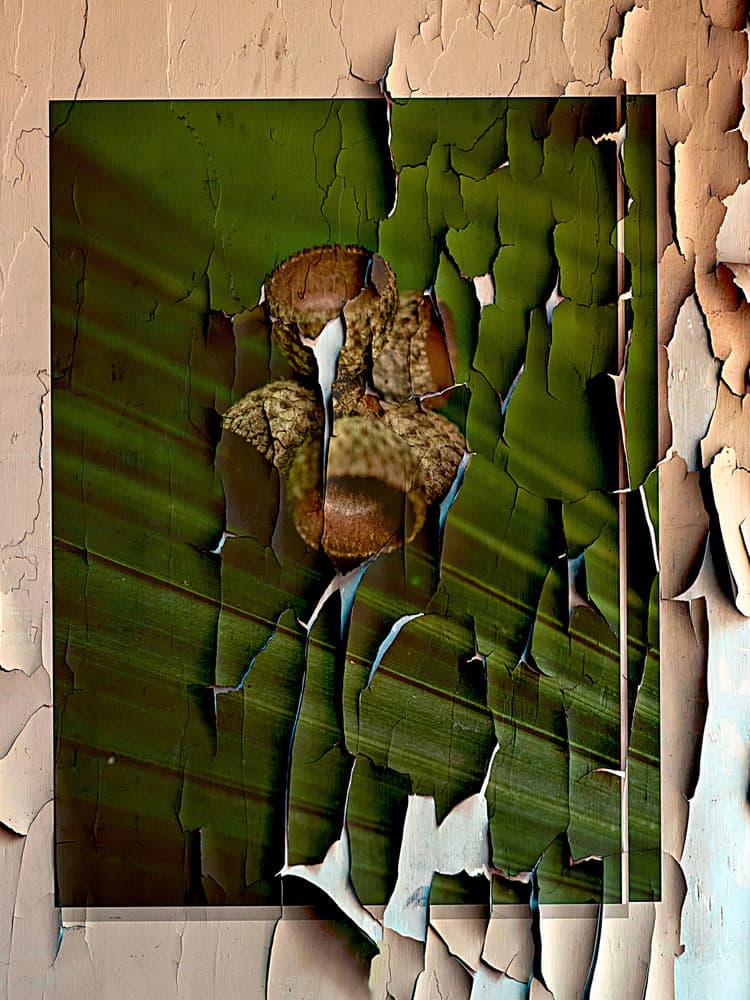 Peeling Green Layers by EDUARDO LLERANDI — canvas wall art