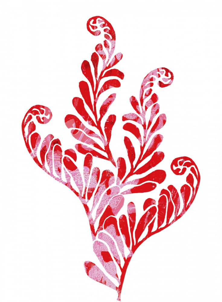 Vibrant Red Botanical Flourish by Melissa McKeagney — canvas wall art