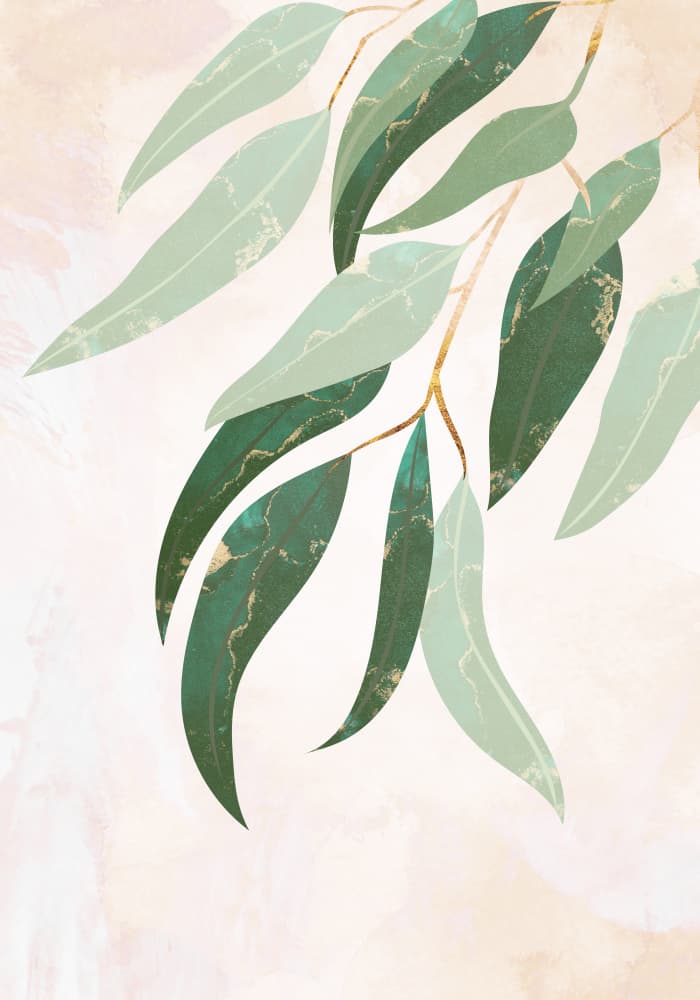 Elegant Eucalyptus Leaves by Sarah Manovski — canvas wall art