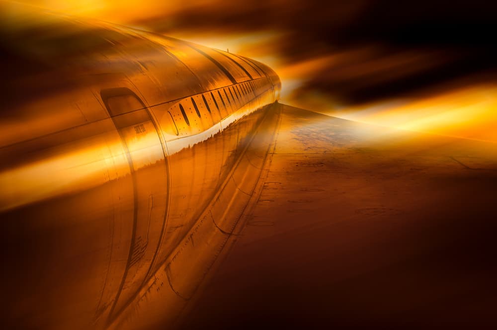 Golden Flight by Stefan Kierek — canvas wall art