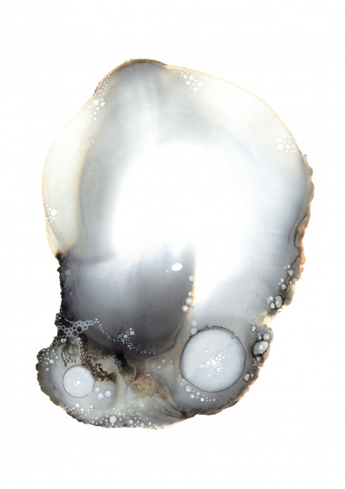 Specimen XI by Amy Louise Baker — canvas wall art