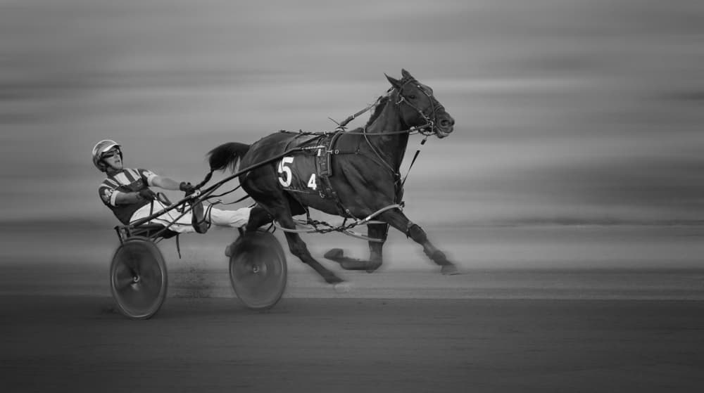 Harness Racing Speed by Shi & Wei — canvas wall art
