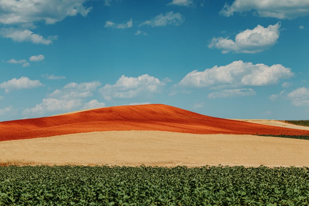 Colorful Rolling Fields by Javier Pardina — canvas wall art