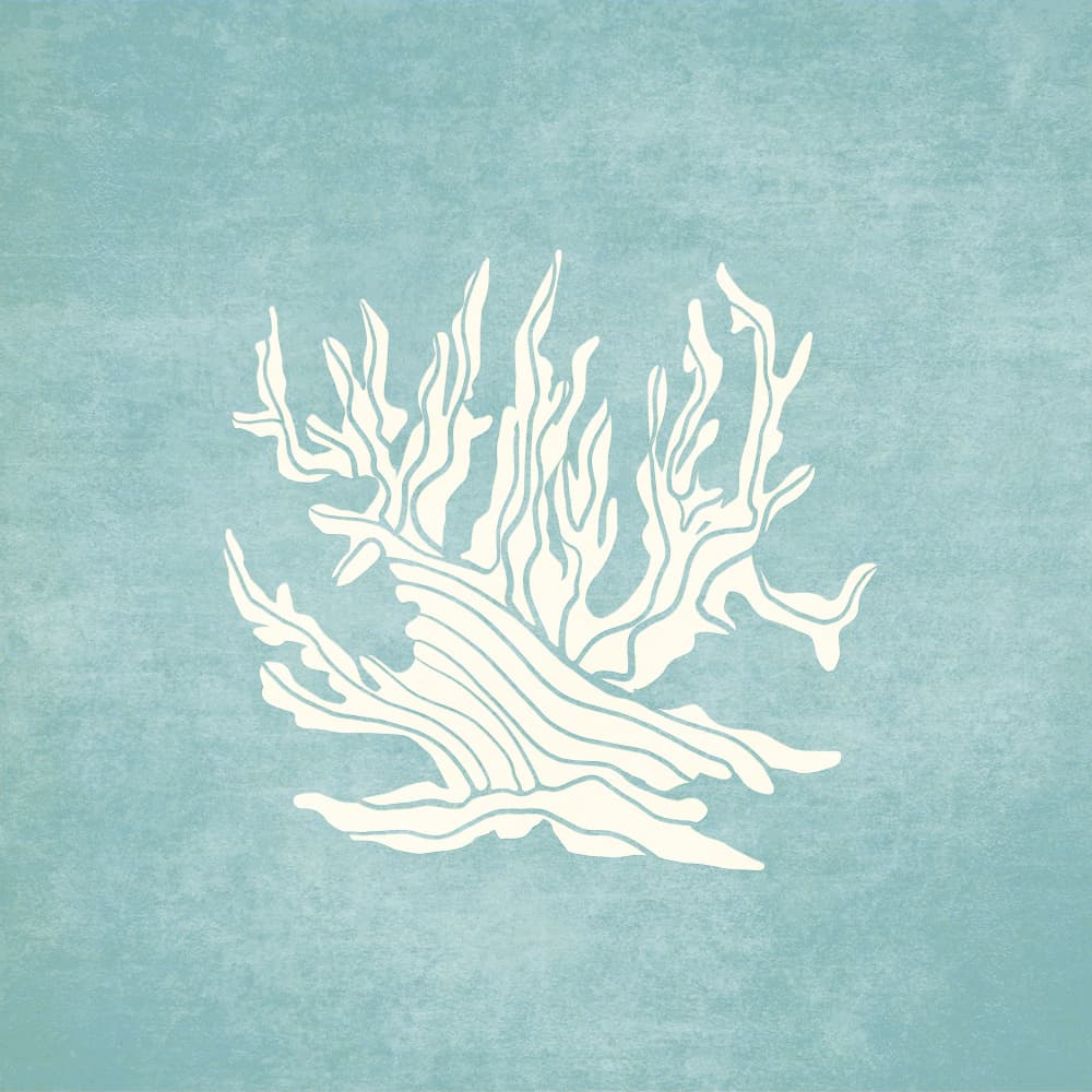 Oceanic Whimsy by Emel Tunaboylu — canvas wall art