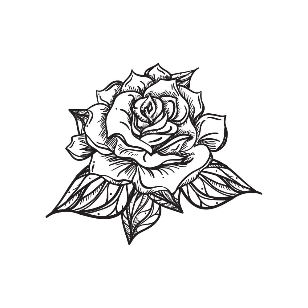 Elegant Rose Drawing by Marika Barsrsind — canvas wall art