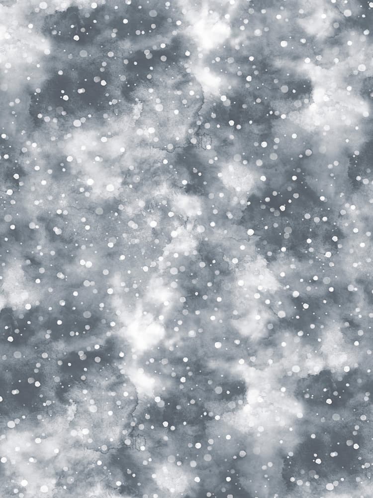 Gentle Winter Snow by Ninola Design — canvas wall art